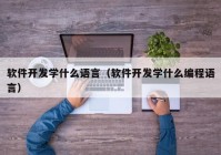 軟件開發(fā)學(xué)什么語言（軟件開發(fā)學(xué)什么編程語言）