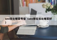 seo優(yōu)化哪家專業(yè)（seo排名優(yōu)化哪家好）