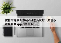 微信小程序開發(fā)appid怎么獲?。ㄎ⑿判〕绦蜷_發(fā)appid是什么）