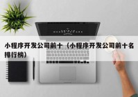 小程序開發(fā)公司前十（小程序開發(fā)公司前十名排行榜）