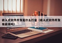 嵌入式軟件開發(fā)是什么行業(yè)（嵌入式軟件開發(fā)有前景嗎）