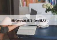 新興seo優(yōu)化技巧（seo新人）