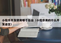 小程序開發(fā)使用哪個后臺（小程序用的什么開發(fā)語言）