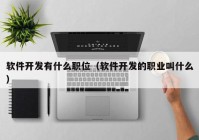 軟件開發(fā)有什么職位（軟件開發(fā)的職業(yè)叫什么）