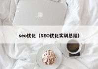 seo優(yōu)化（SEO優(yōu)化實(shí)訓(xùn)總結(jié)）