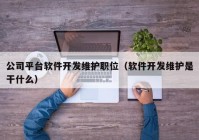 公司平臺軟件開發(fā)維護(hù)職位（軟件開發(fā)維護(hù)是干什么）