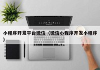 小程序開發(fā)平臺(tái)微信（微信小程序開發(fā)小程序）