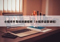 小程序開發(fā)培訓課程班（小程序運營課程）