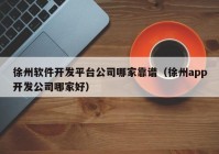 徐州軟件開發(fā)平臺公司哪家靠譜（徐州app開發(fā)公司哪家好）