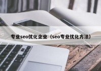 專業(yè)seo優(yōu)化企業(yè)（seo專業(yè)優(yōu)化方法）