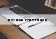 軟件開發(fā)項目（軟件開發(fā)項目名稱）