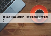 哈爾濱排名seo優(yōu)化（哈爾濱網(wǎng)站排名提升）