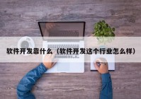 軟件開發(fā)靠什么（軟件開發(fā)這個(gè)行業(yè)怎么樣）