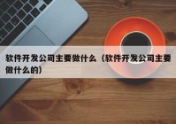 軟件開(kāi)發(fā)公司主要做什么（軟件開(kāi)發(fā)公司主要做什么的）