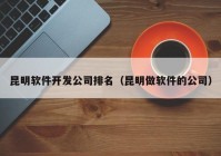 昆明軟件開(kāi)發(fā)公司排名（昆明做軟件的公司）