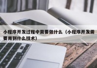 小程序開發(fā)過(guò)程中需要做什么（小程序開發(fā)需要用到什么技術(shù)）