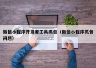 微信小程序開發(fā)者工具抓包（微信小程序抓包問題）