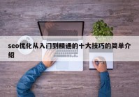 seo優(yōu)化從入門到精通的十大技巧的簡(jiǎn)單介紹