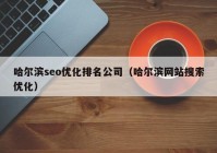 哈爾濱seo優(yōu)化排名公司（哈爾濱網(wǎng)站搜索優(yōu)化）