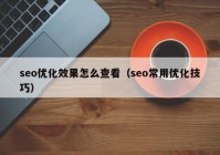 seo優(yōu)化效果怎么查看（seo常用優(yōu)化技巧）