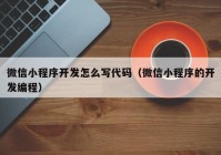 微信小程序開發(fā)怎么寫代碼（微信小程序的開發(fā)編程）