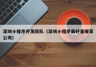 深圳小程序開發(fā)團(tuán)隊(duì)（深圳小程序最好是哪家公司）