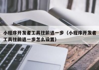 小程序開發(fā)者工具往前退一步（小程序開發(fā)者工具往前退一步怎么設置）