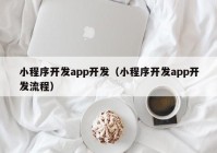 小程序開發(fā)app開發(fā)（小程序開發(fā)app開發(fā)流程）