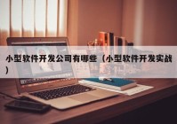 小型軟件開發(fā)公司有哪些（小型軟件開發(fā)實(shí)戰(zhàn)）